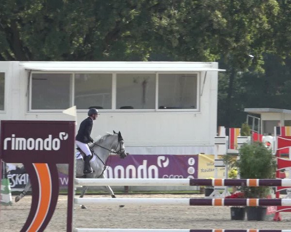 Late Entry Springturnier Verden 2022