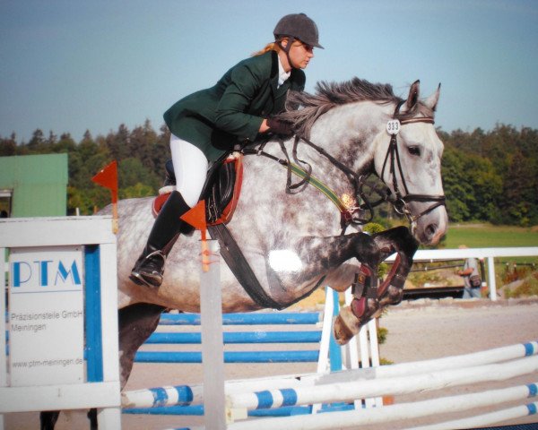 horse Blanemore Ben (Irish Sport Horse, 2000, from Ben Calverstown)