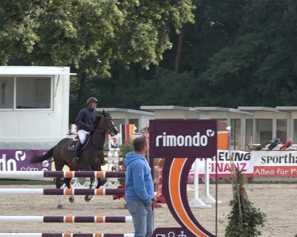 Late Entry Springturnier Verden 2022