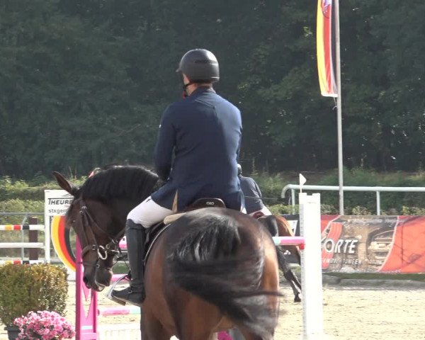 Late Entry Springturnier Verden 2022