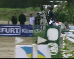 broodmare Erica van't Palmenhof (Belgian Warmblood, 2004, from Darco)