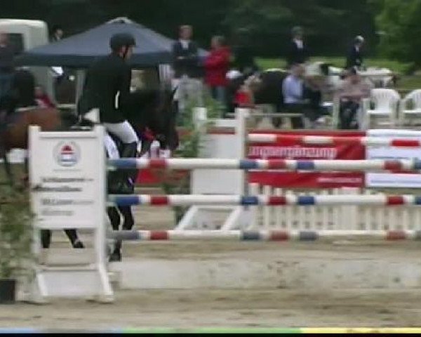 jumper Casanova 347 (Hanoverian, 2003, from Contendro I)
