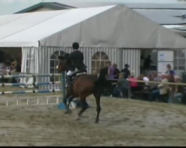 broodmare Vhamanta 2 (KWPN (Royal Dutch Sporthorse), 2002, from Guidam)