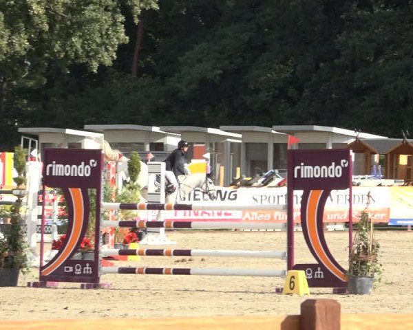Late Entry Springturnier Verden 2022