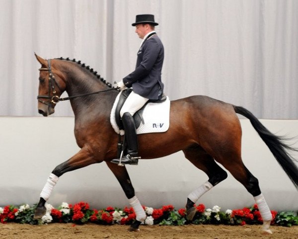 horse Status Man (Rhinelander, 2008, from Status Quo)