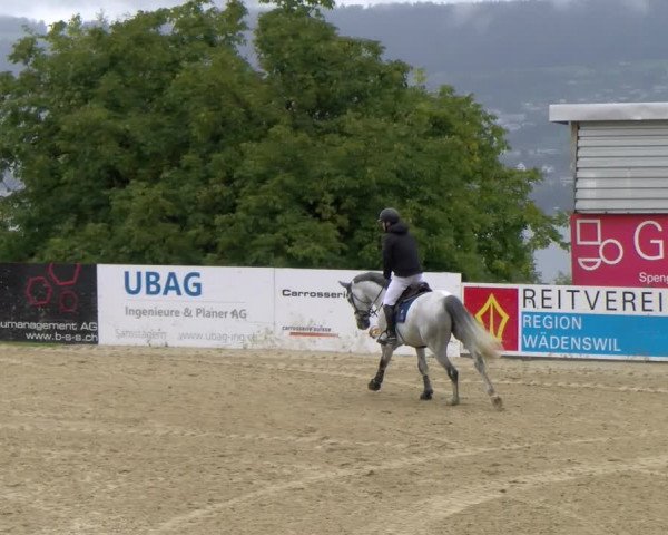 Pferdesporttage Wädenswil 2022