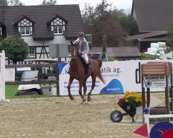 Pferdesporttage Wädenswil 2022