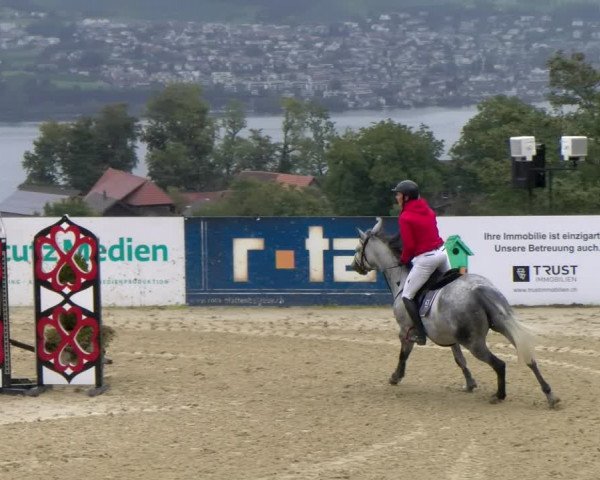 Pferdesporttage Wädenswil 2022