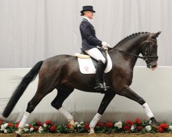 dressage horse Essiene (Westphalian, 2007, from Ehrenpreis)
