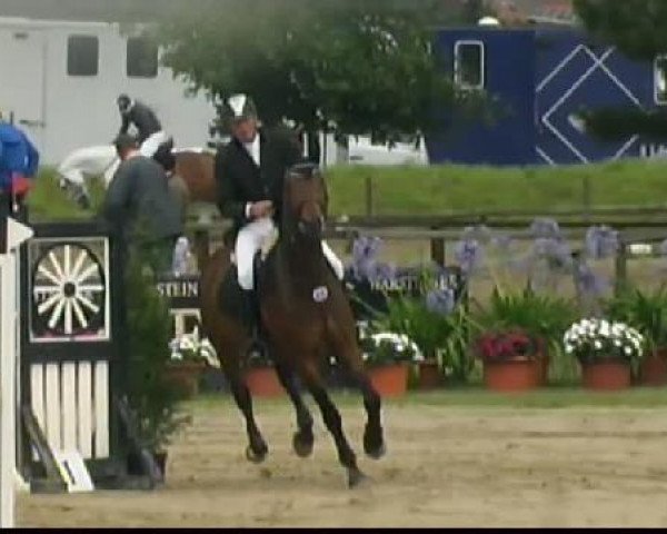 jumper Enton (Hanoverian, 1996, from Escudo I)