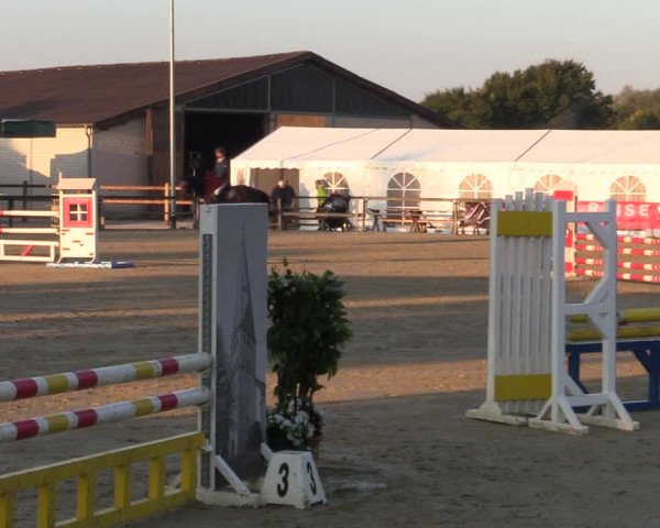Reitturnier Kamen 2022