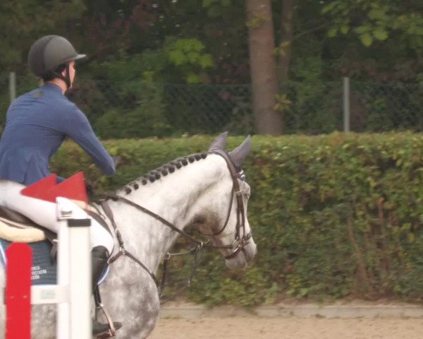 Reitturnier Böblingen 2022