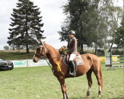 jumper Catana 28 (unknown, 2010)