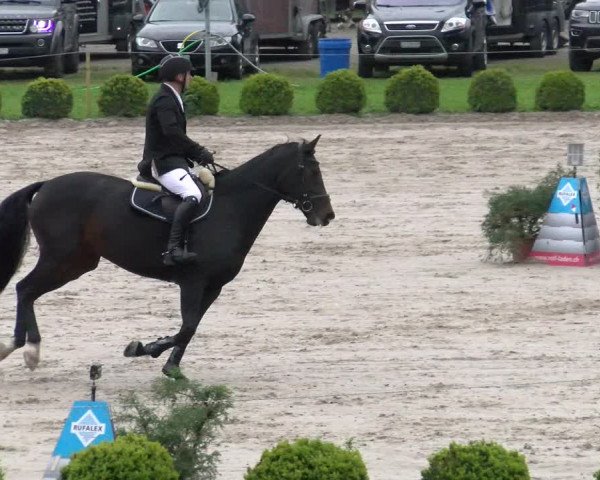 Reitturnier Basel Schänzli 2022