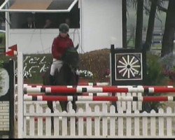 Zuchtstute Smilla 59 (Westfale, 2005, von Stakkato Gold)