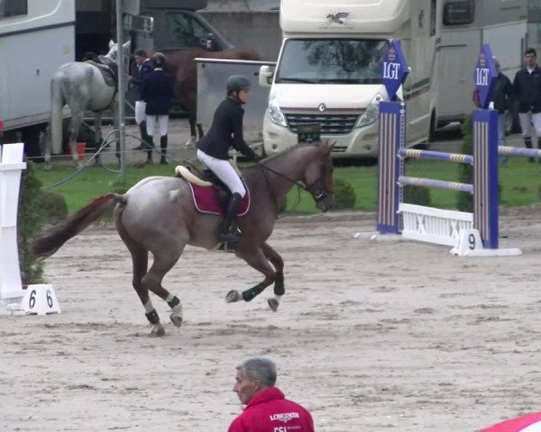 Reitturnier Basel Schänzli 2022
