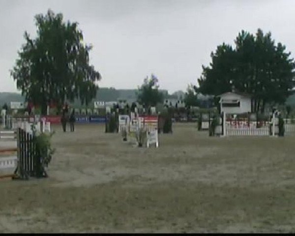 Springpferd Wilford 2 (KWPN (Niederländisches Warmblut), 2003, von Marlon)