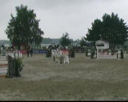 jumper Wilford 2 (KWPN (Royal Dutch Sporthorse), 2003, from Marlon)