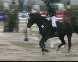 jumper For ever 4 (Oldenburg, 1999, from Forrester)