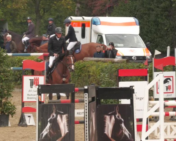 Reitturnier Böblingen 2022