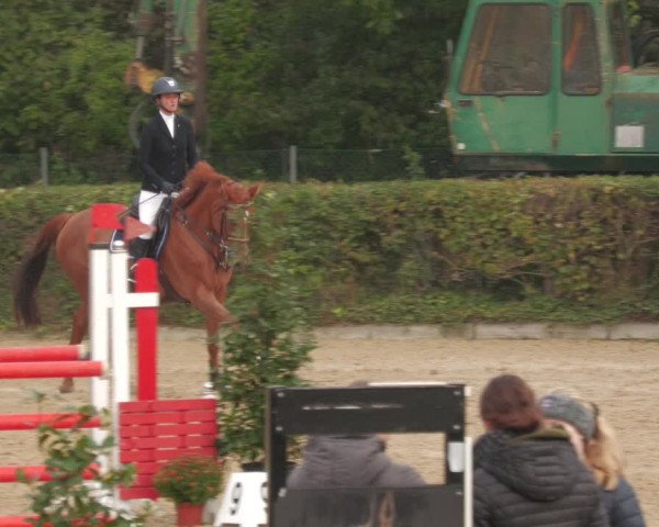 Reitturnier Böblingen 2022