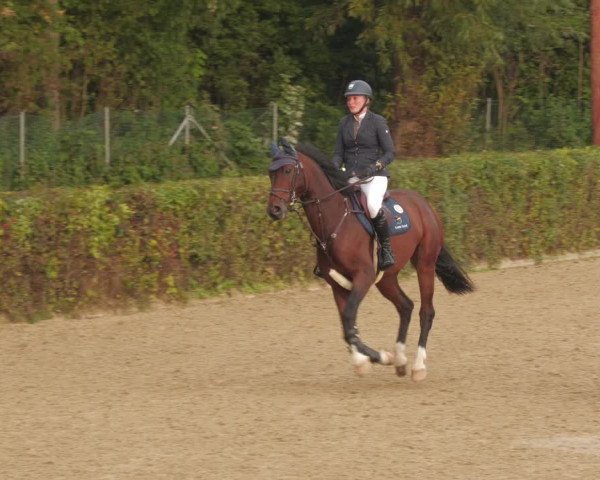 Reitturnier Böblingen 2022