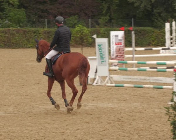 Reitturnier Böblingen 2022