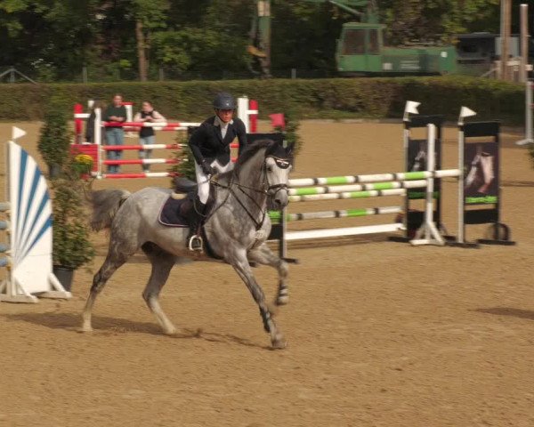 Reitturnier Böblingen 2022