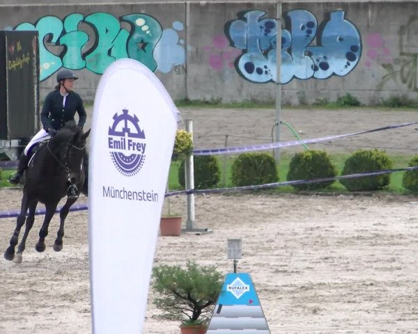 Reitturnier Basel Schänzli 2022