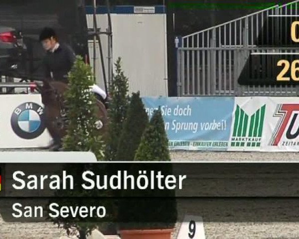 broodmare Orlana 6 (Oldenburg show jumper, 2003, from Orlando van de Heffinck)