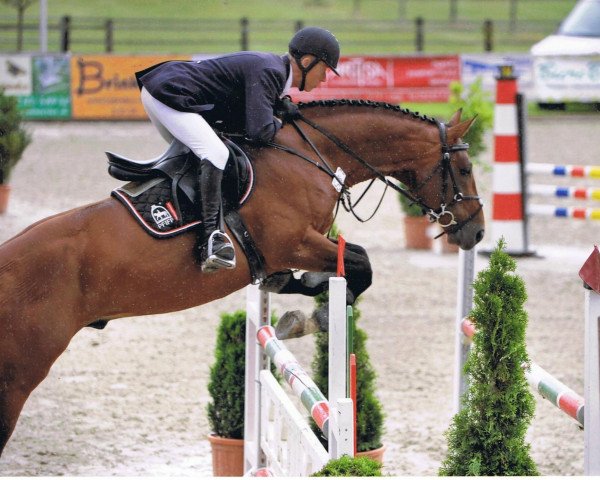 jumper Pistolero (Westphalian, 2006, from Pascavello)