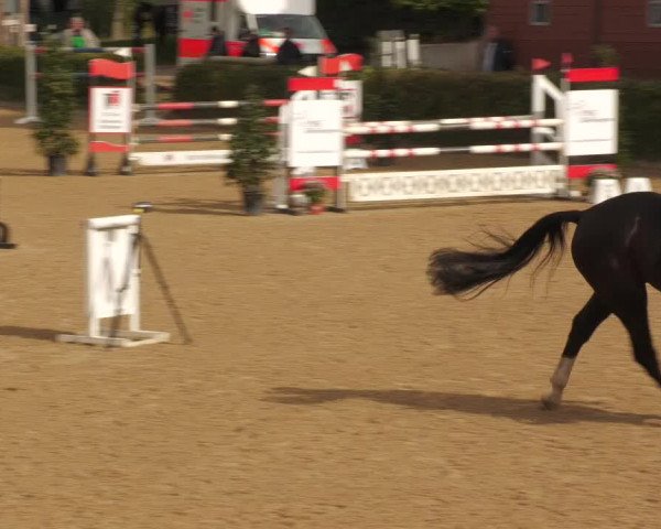 Reitturnier Böblingen 2022