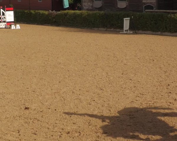 Reitturnier Böblingen 2022