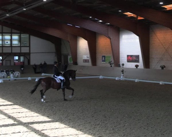Reitturnier Kamen 2022