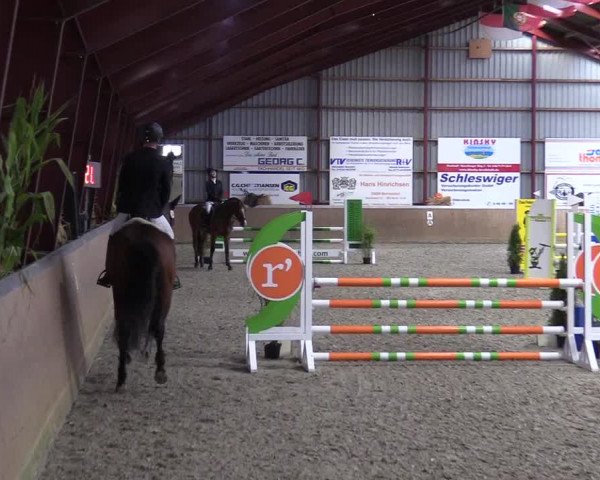 Behrendorfer Reitertage 2022