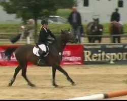jumper Amsterdam 20 (KWPN (Royal Dutch Sporthorse), 2005, from Arkansas)