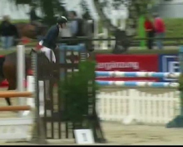 jumper Piccobello H (Westphalian, 2005, from Pik Donnerhall)