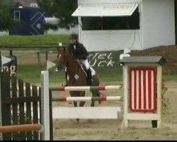 jumper Mouthage's Malik (Nederlands Welsh Ridepony, 2002, from Bokkesprong Casjmier)