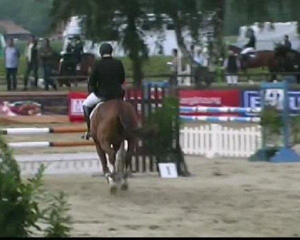 dressage horse Lugano 326 (Oldenburg, 2005, from Landsieger I)