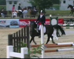 Springpferd Play Mate (Westfale, 2005, von Pik Labionics)