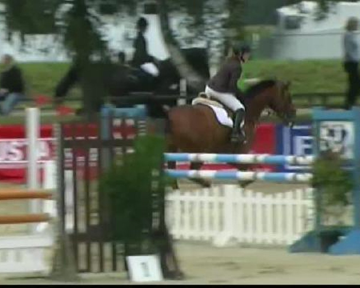 jumper Contro (Holsteiner, 2001, from Candillo Z)