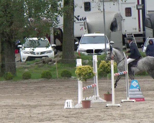 Reitturnier Basel Schänzli 2022