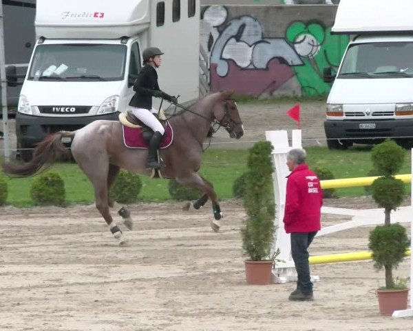 Reitturnier Basel Schänzli 2022