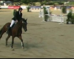 jumper Feiner Prinz 7 (Westphalian, 2003, from Florestan I)