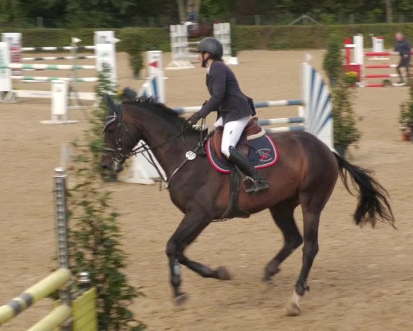 Reitturnier Böblingen 2022
