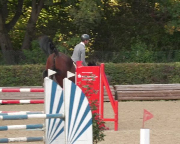 Reitturnier Böblingen 2022
