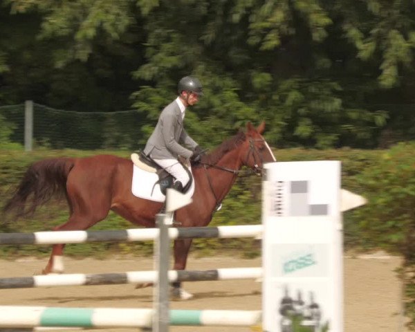 Reitturnier Böblingen 2022