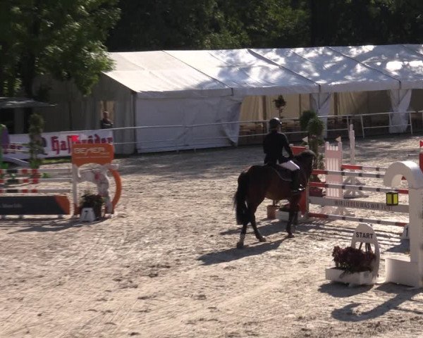 1. Mitteldeutsches Championat - Prussendorf 2022