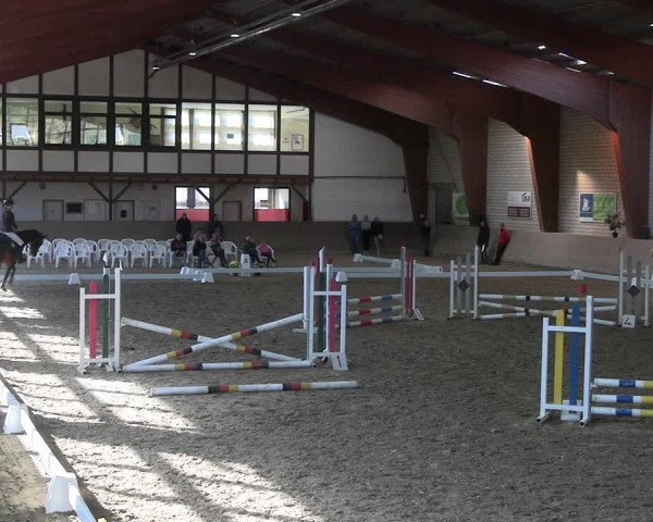 Reitturnier Kamen 2022