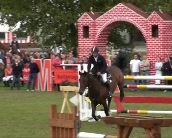 stallion Landcolt B (Holsteiner, 1989, from Landgraf I)